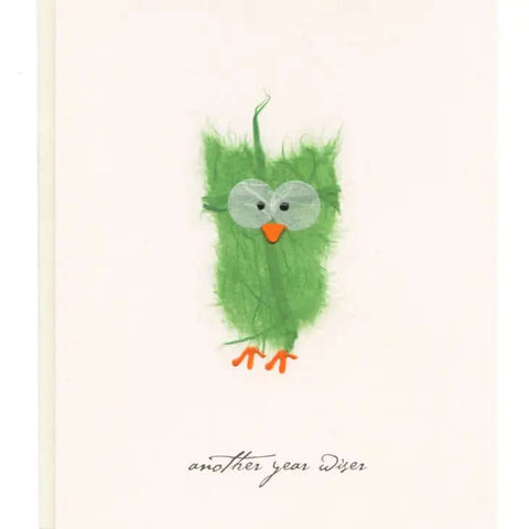 Another Year Wiser Birthday Card - Greeting Card - Flaunt Cards