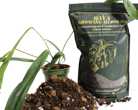 Aroid Blend - Potting Soil For Indoor Plants - Soil - Maya Growing Mediums