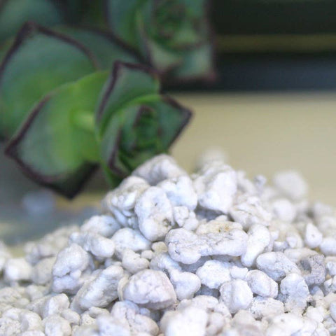Coarse Perlite - Soil - Maya Growing Mediums