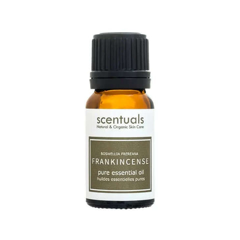 Frankincense Essential Oil - Essential Oil - Scentuals