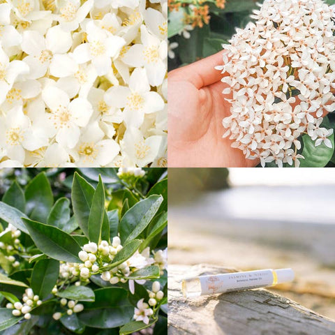 Jasmine Natural Perfume - Perfume - Tofino Soap Company