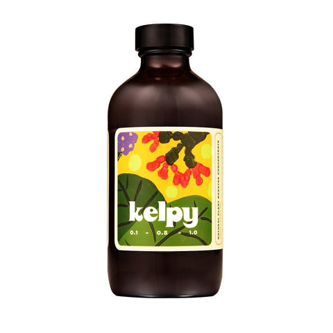 Kelpy Plant Food (Green Thumb Size) - Planter - Kelpy