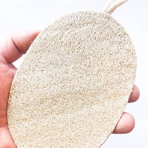 Large Loofah Sponge - Natural Organic - Body Wash - The Local Boom Gift Shop