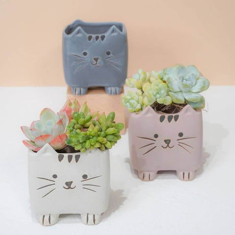 Little Cats Planter - Planter - The Local Boom Gift Shop