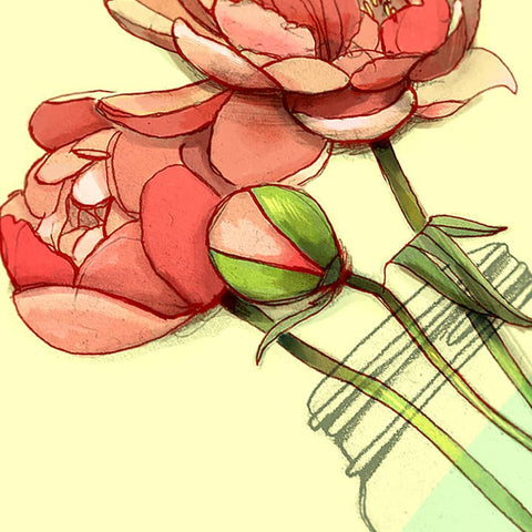 Peonies Flower Greeting Card - Greeting Card - Valérie Boivin Illustration