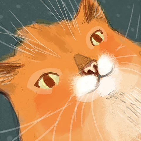 Postcat Card - Greeting Card - Valérie Boivin Illustration