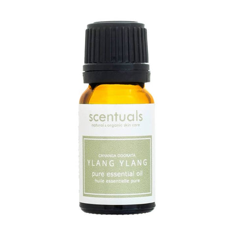 Ylang Ylang Essential Oil - Essential Oil - Scentuals